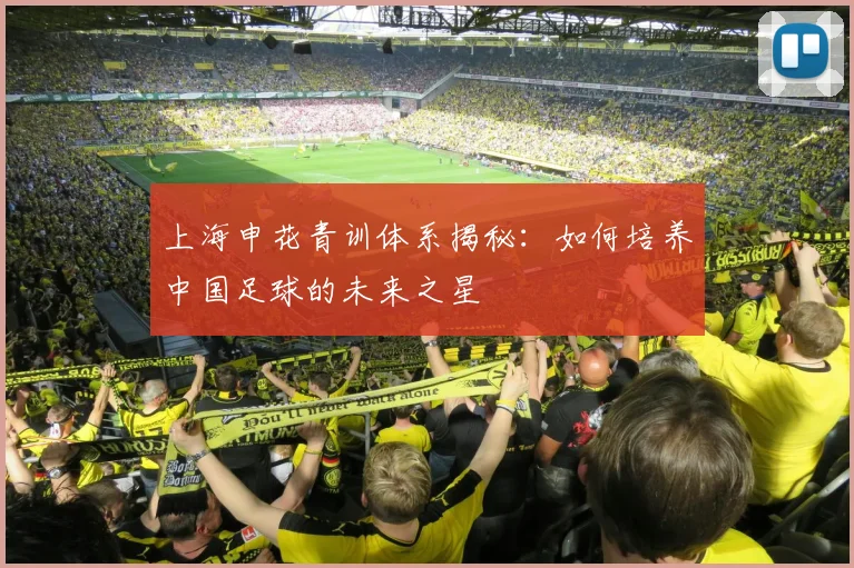 上海申花青训体系揭秘：如何培养中国足球的未来之星
