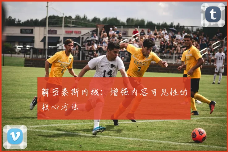 解密泰斯内线:增强内容可见性的核心方法