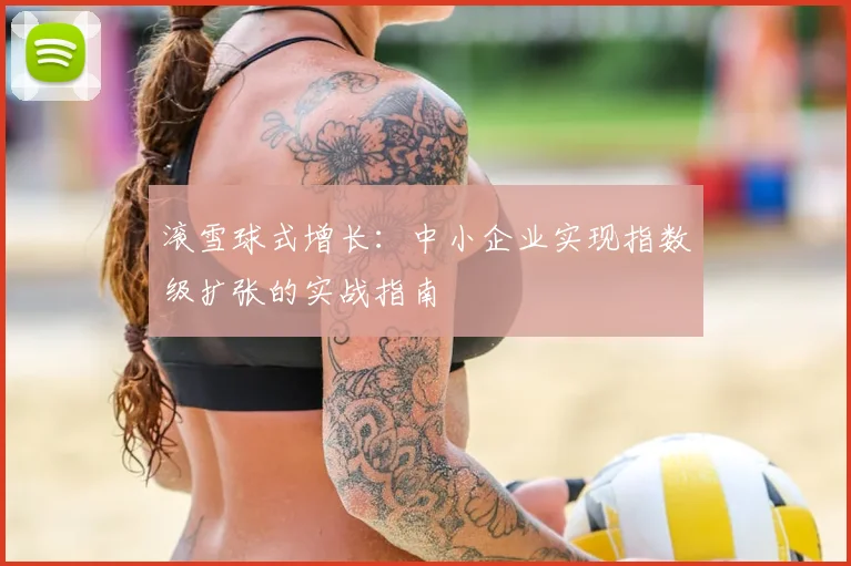 滚雪球式增长：中小企业实现指数级扩张的实战指南